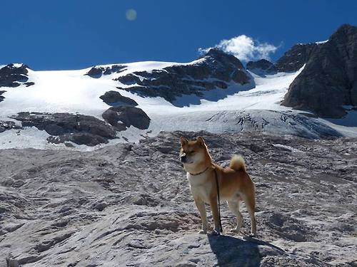 “未来之星青少年足球明星巡展全国巡回，展现青春风采”，校园足球未来之星典型事迹