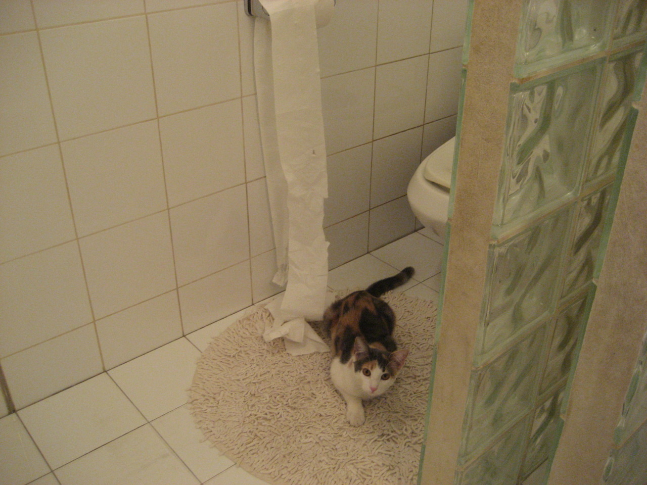 九游娱乐-《电竞场馆的绿色升级：环保理念融入硬件设计》，电竞场馆平面设计图