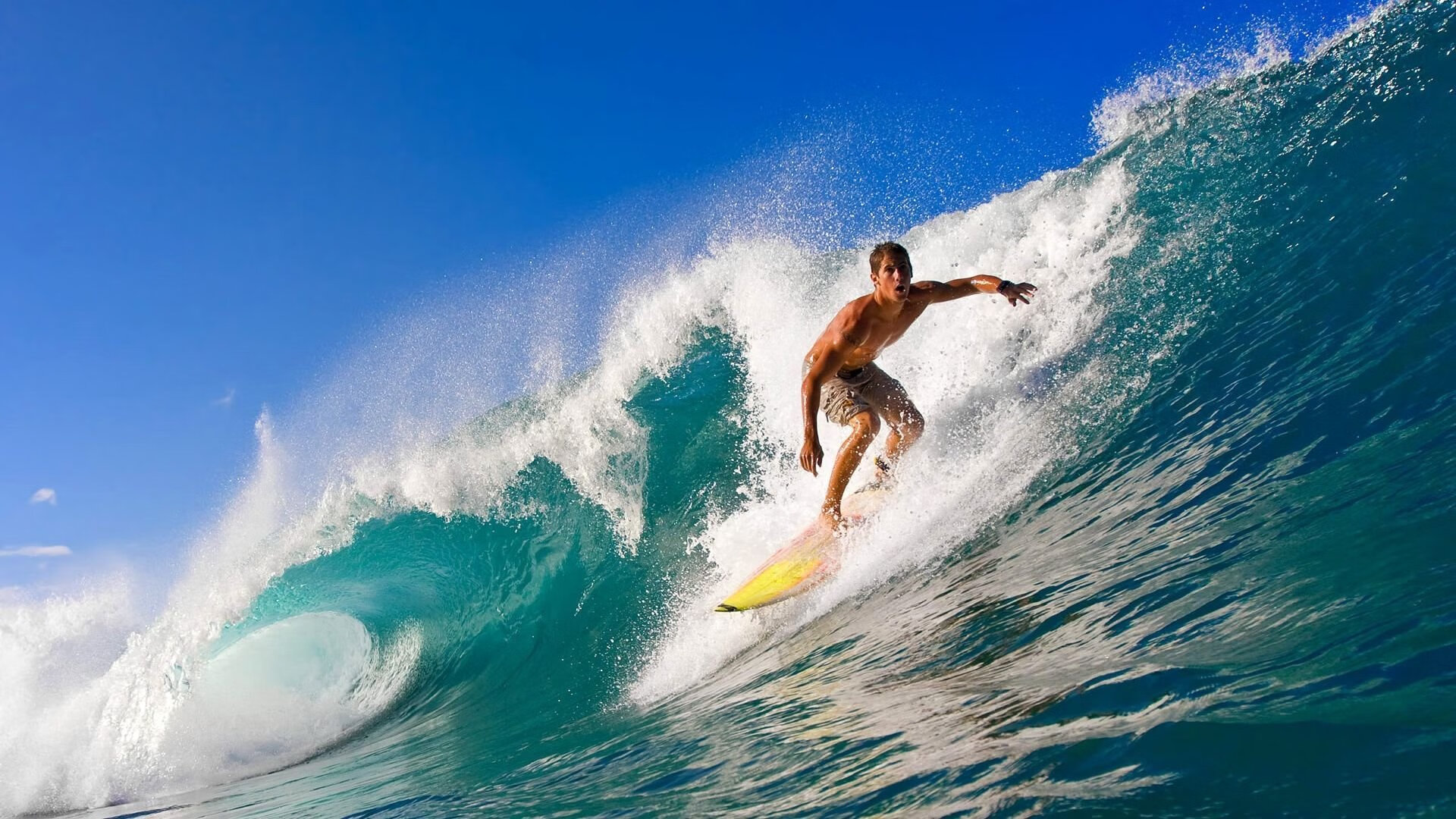 九游电竞平台官网-新西兰全黑队凭借无懈可击的球场控制力，战术执行完美，新西兰全黑队队员介绍