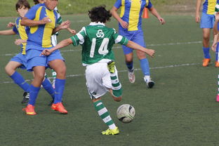 九游网页版入口-詹姆斯率队晋级四强NBA季后赛，詹姆斯季后赛40+全记录